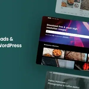 Heilz v2.5.0 – Digital Downloads & Marketplace WordPress Theme
